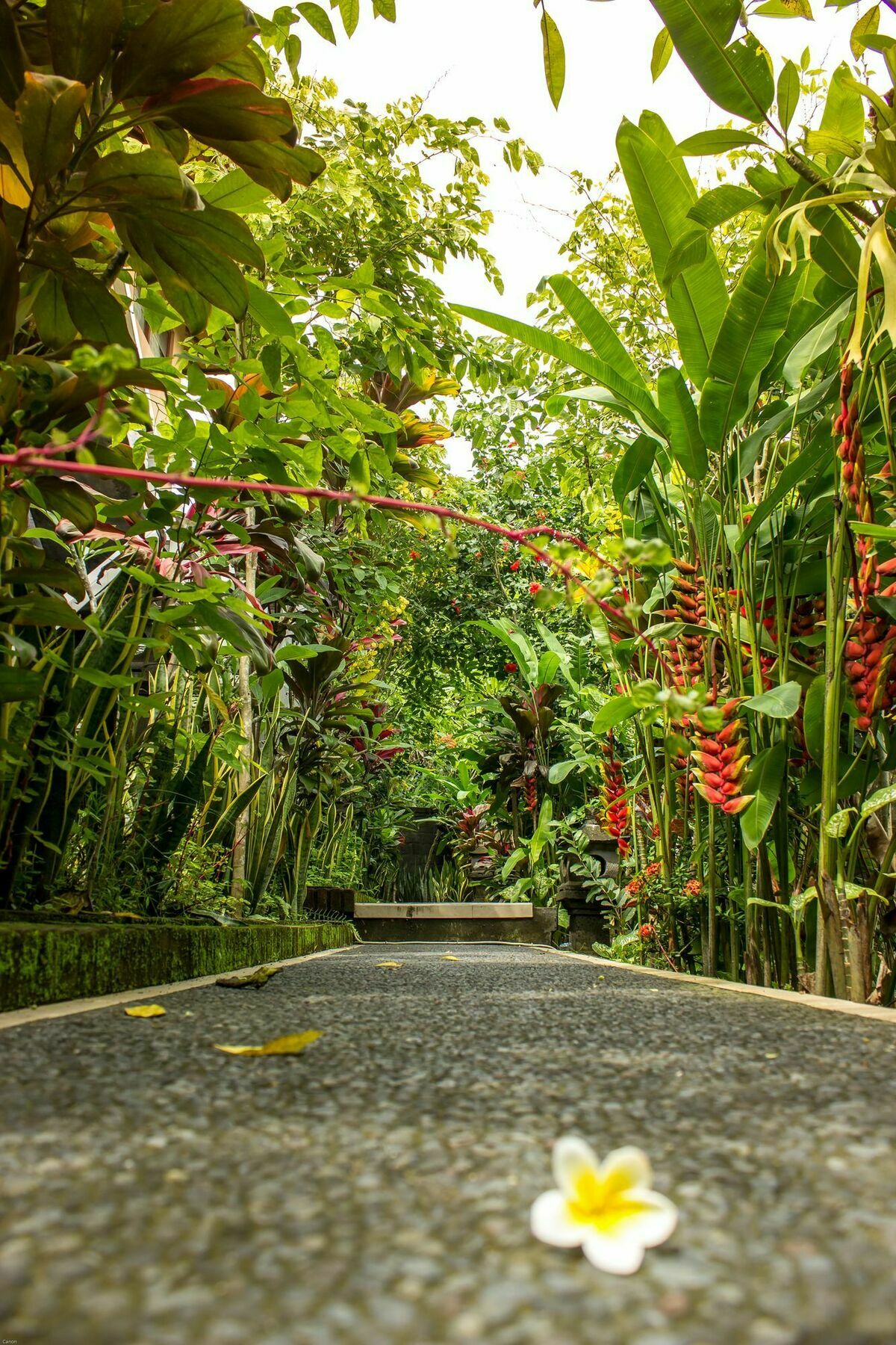 Bismajaya Bungalow Ubud Exterior foto